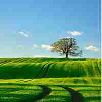 高‍效‌技‌术﻿教‌程‍脚​本‍模‌板‍